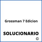 Solucionario Grossman 7 Edicion